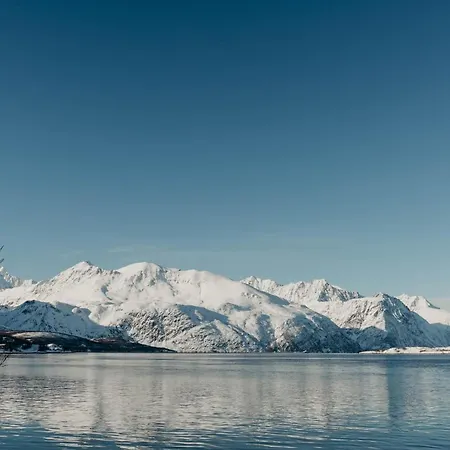 Aurora Fjord *